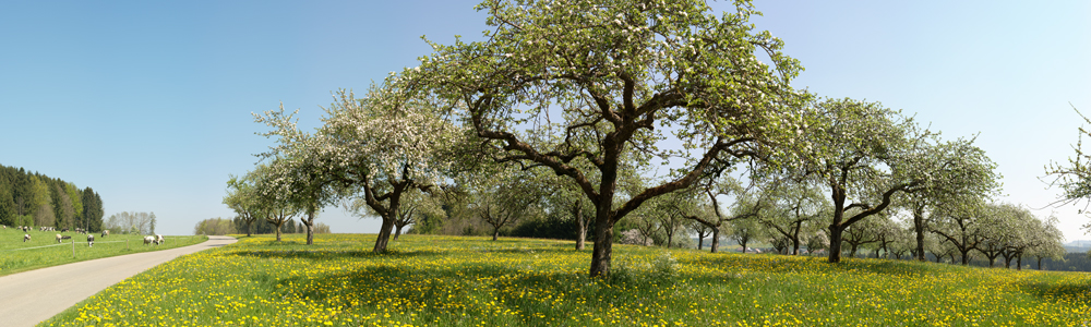Preview _MC25931 Panorama.jpg